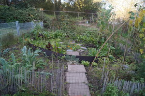 Färjan, Ratzeburg okt 2019 049.JPG