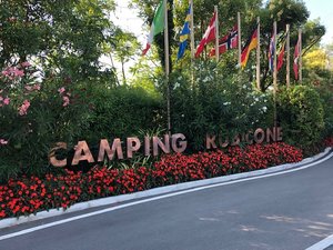 835D2C3B-6D0D-4F3B-9F79-667D5037417F.jpeg 835D2C3B-6D0D-4F3B-9F79-667D5037417F.jpeg