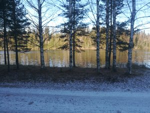 IMG_20191102_105447.jpg