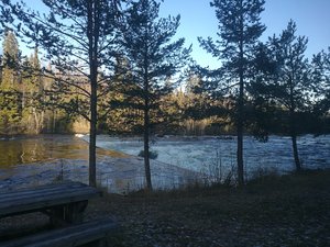 IMG_20191103_102441.jpg