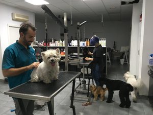 83530B32-71C8-4242-9A49-06B49FDA0E2F.jpeg 83530B32-71C8-4242-9A49-06B49FDA0E2F.jpeg