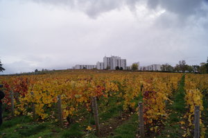 Eperny nov 2019 003.JPG