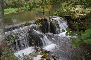 Monets trädgård 009.JPG