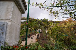 Monets trädgård 027.JPG