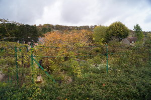 Monets trädgård 033.JPG