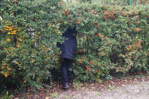 Monets trädgård 056.JPG