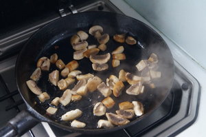 Fågelparken  Arrcachon 001.JPG