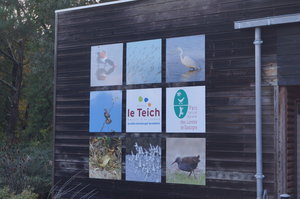 Fågelparken  Arrcachon 009.JPG