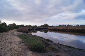 Fågelparken  Arrcachon 010.JPG