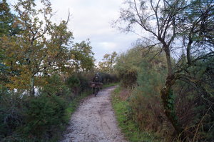 Fågelparken  Arrcachon 011.JPG