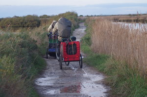 Fågelparken  Arrcachon 019.JPG