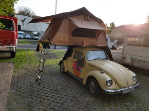 IMG_20191120_090345002_HDR.jpg IMG_20191120_090345002_HDR.jpg