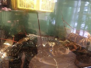 IMG_20191118_140901884.jpg IMG_20191118_140901884.jpg