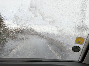 IMG_20191120_102236908.jpg IMG_20191120_102236908.jpg