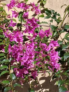 IMG_20191119_144449912_HDR.jpg IMG_20191119_144449912_HDR.jpg