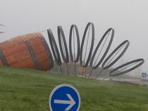 IMG_20191115_085251467.jpg
