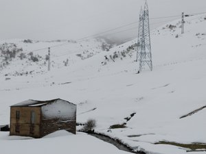 IMG_20191123_101045410.jpg IMG_20191123_101045410.jpg