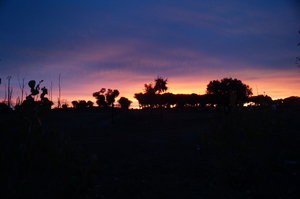 Bennavente, Dourodalen Pourtugal 001.JPG Bennavente, Dourodalen Pourtugal 001.JPG