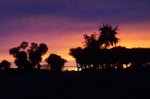 Bennavente, Dourodalen Pourtugal 002.JPG Bennavente, Dourodalen Pourtugal 002.JPG