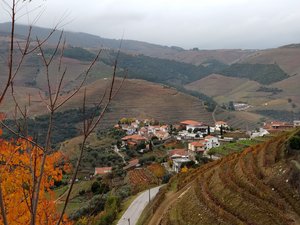 IMG_20191124_134911982.jpg IMG_20191124_134911982.jpg