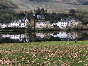 6ceKpOqxTJmv50lf1WiaYA.jpg 6ceKpOqxTJmv50lf1WiaYA.jpg