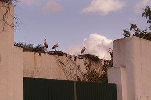 Silves 1 027.JPG Silves 1 027.JPG