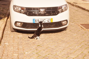 Silves 2 011.JPG Silves 2 011.JPG