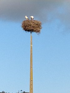 IMG_20191201_134527905_MP.jpg IMG_20191201_134527905_MP.jpg