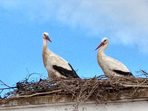 IMG_20191201_140150049_HDR.jpg IMG_20191201_140150049_HDR.jpg