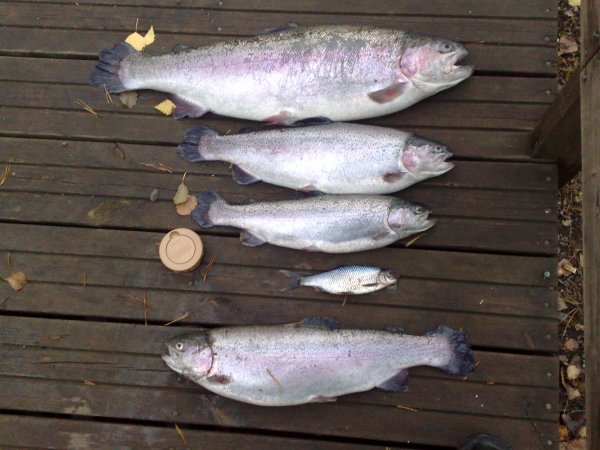 20091109054.jpg 20091109054.jpg