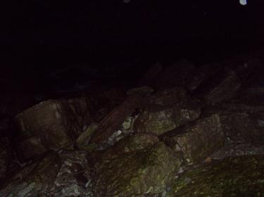 2009-11-12_075902.jpg 2009-11-12_075902.jpg