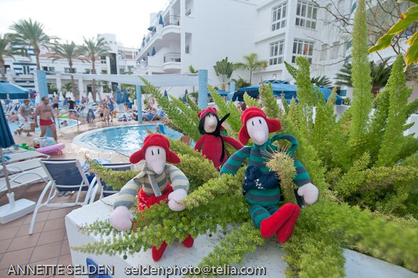 20091112.002.jpg 20091112.002.jpg