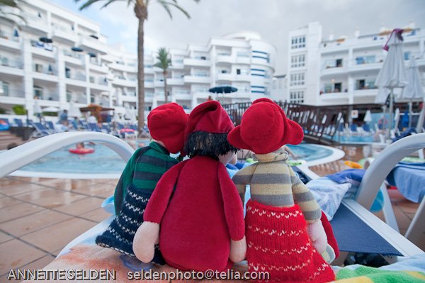 20091112.005.jpg 20091112.005.jpg