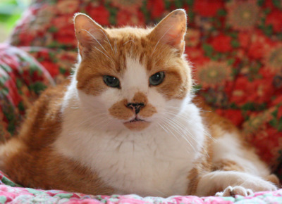 IMG_6819.JPG IMG_6819.JPG