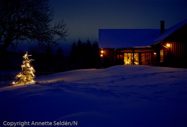 2001 12 28-388-Edit.jpg