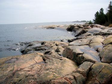 2009-11-25_173320.jpg