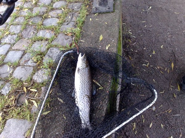20091025029.jpg
