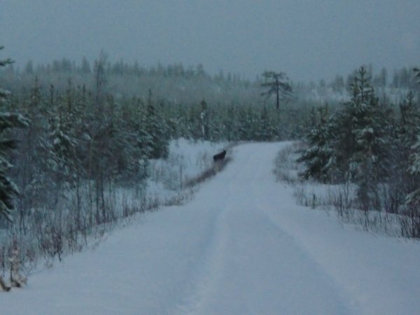 23 -29 nov 2009 004.jpg 23 -29 nov 2009 004.jpg