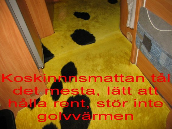 Koskinn.jpg