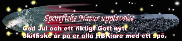 banner_fiske_001.jpg