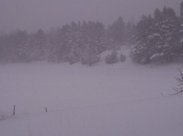 snöväder 091217 006.jpg