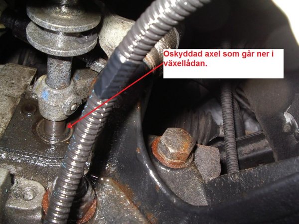 IMGP1299 - Kopia [Skrivbordsupplösning].JPG