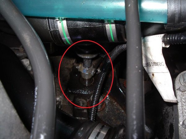 IMGP1298 - Kopia [Skrivbordsupplösning].JPG