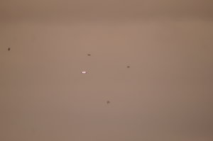 Faro 9 12 007.JPG Faro 9 12 007.JPG