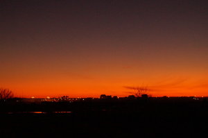 Ria Formosa 001.JPG Ria Formosa 001.JPG