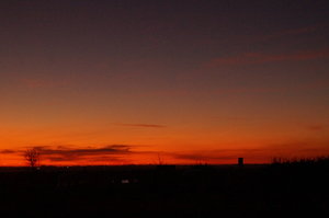 Ria Formosa 002.JPG Ria Formosa 002.JPG