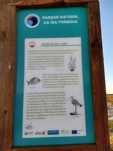 IMG_20191210_080949275_HDR.jpg IMG_20191210_080949275_HDR.jpg