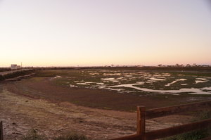 Ria Formosa 007.JPG Ria Formosa 007.JPG