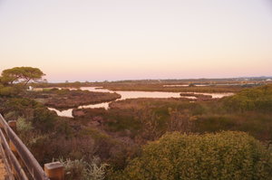 Ria Formosa 010.JPG Ria Formosa 010.JPG