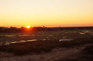 Ria Formosa 018.JPG Ria Formosa 018.JPG